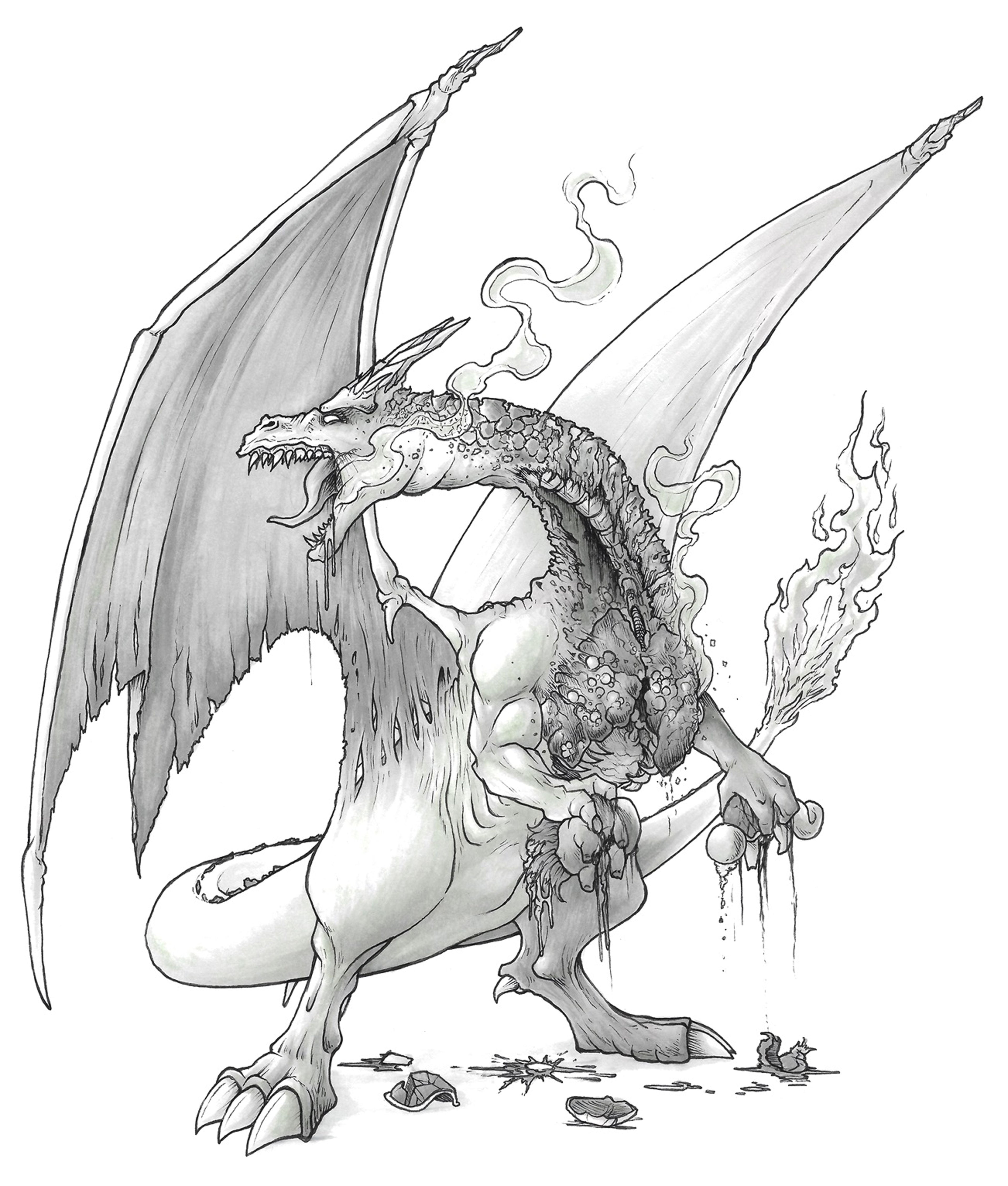 Charizard Print