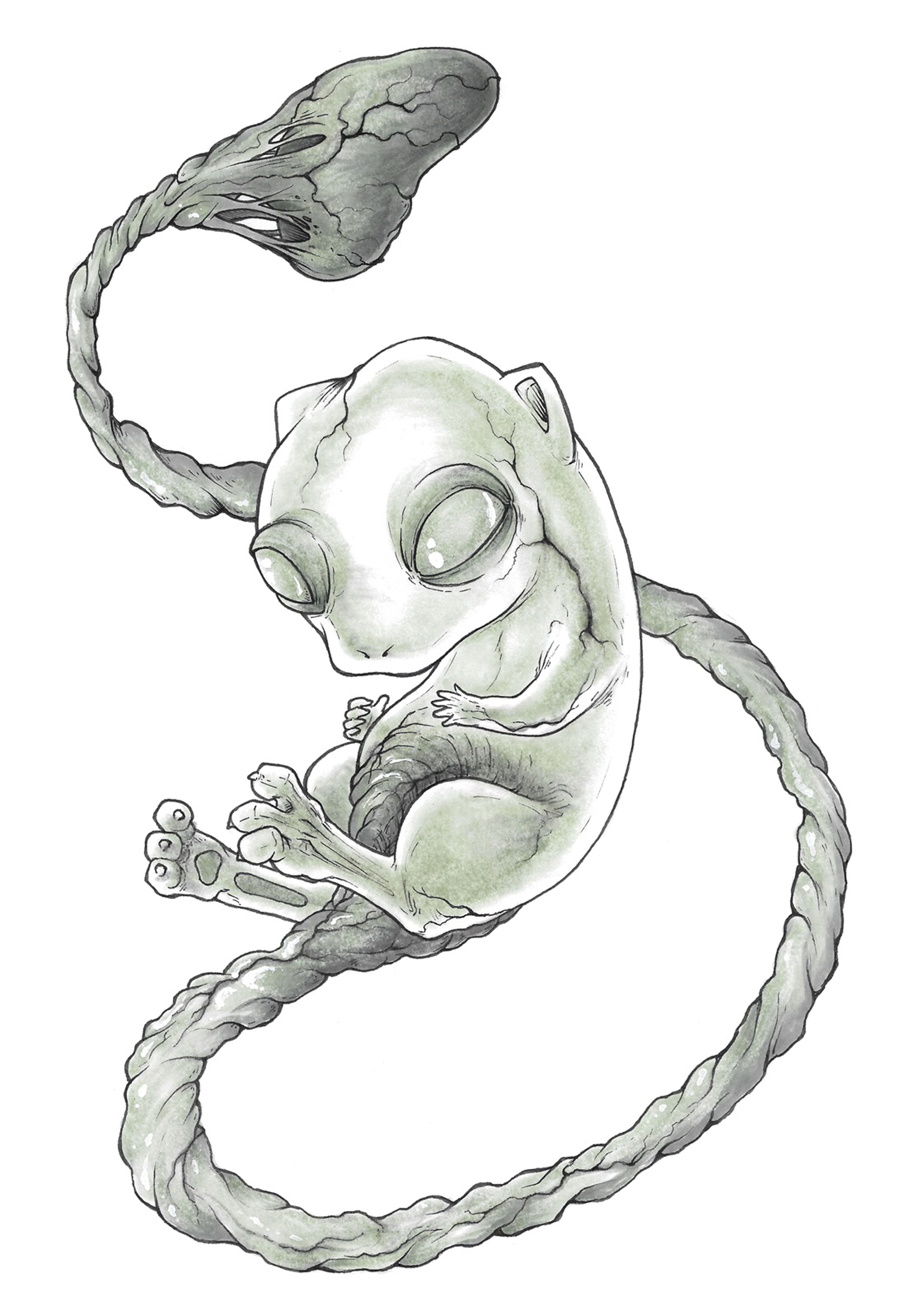 Mew Print