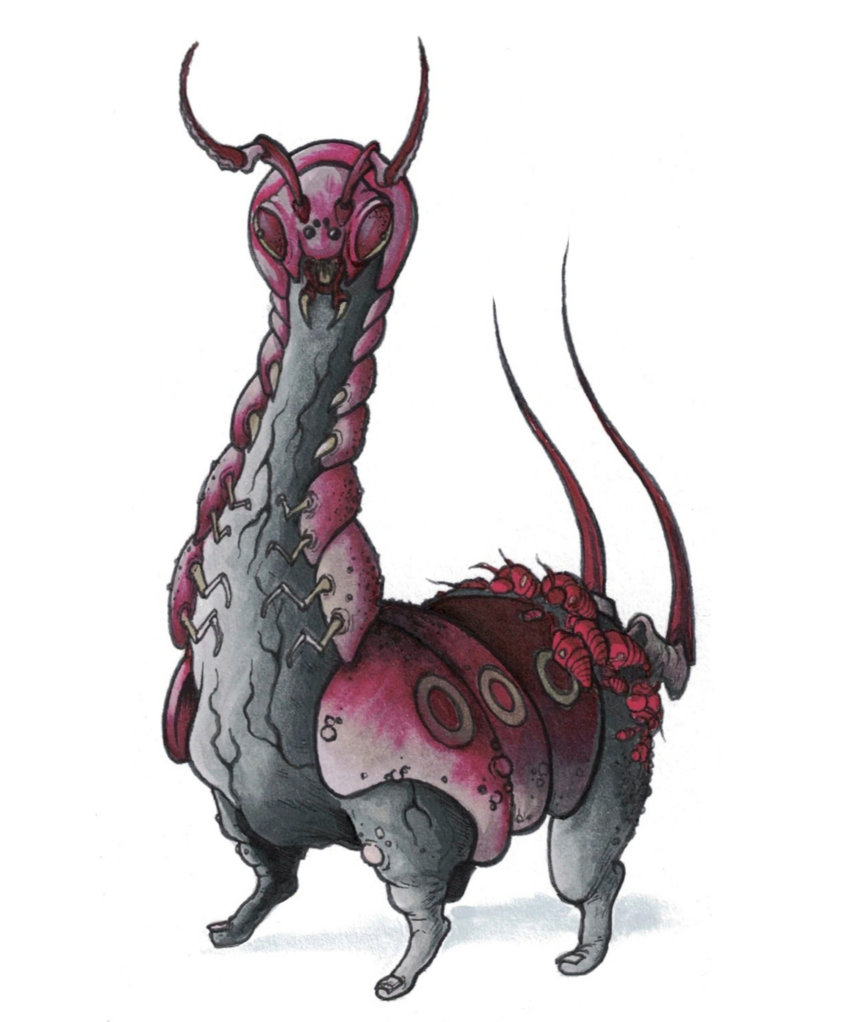 Scolipede Print