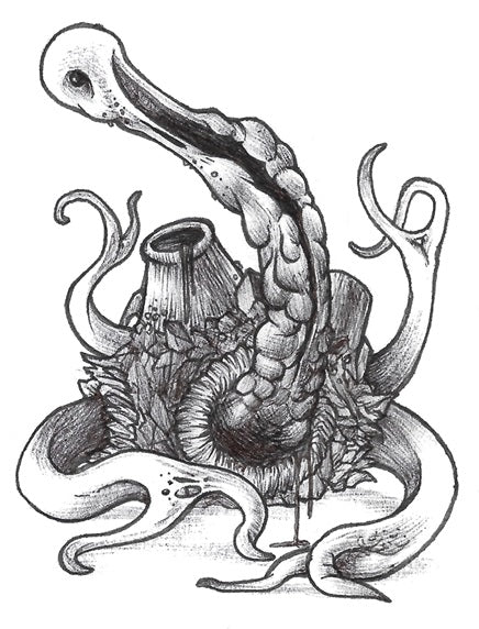 Shuckle Print