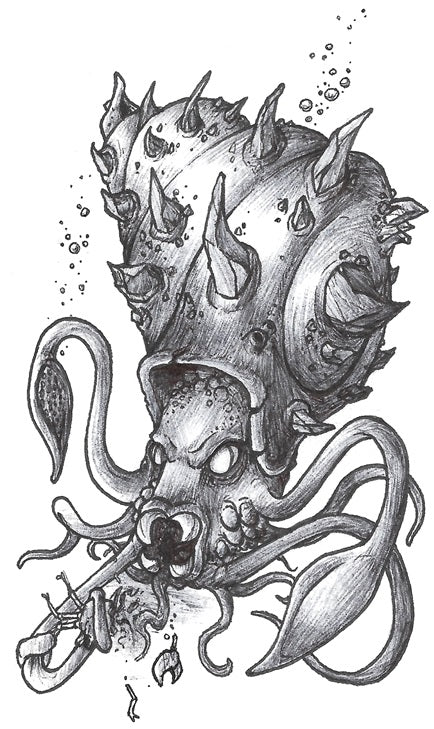 Omastar Print