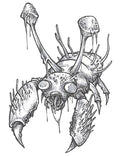 Paras Print