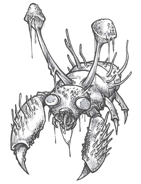 Paras Print