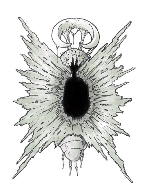 Shedinja Back Print